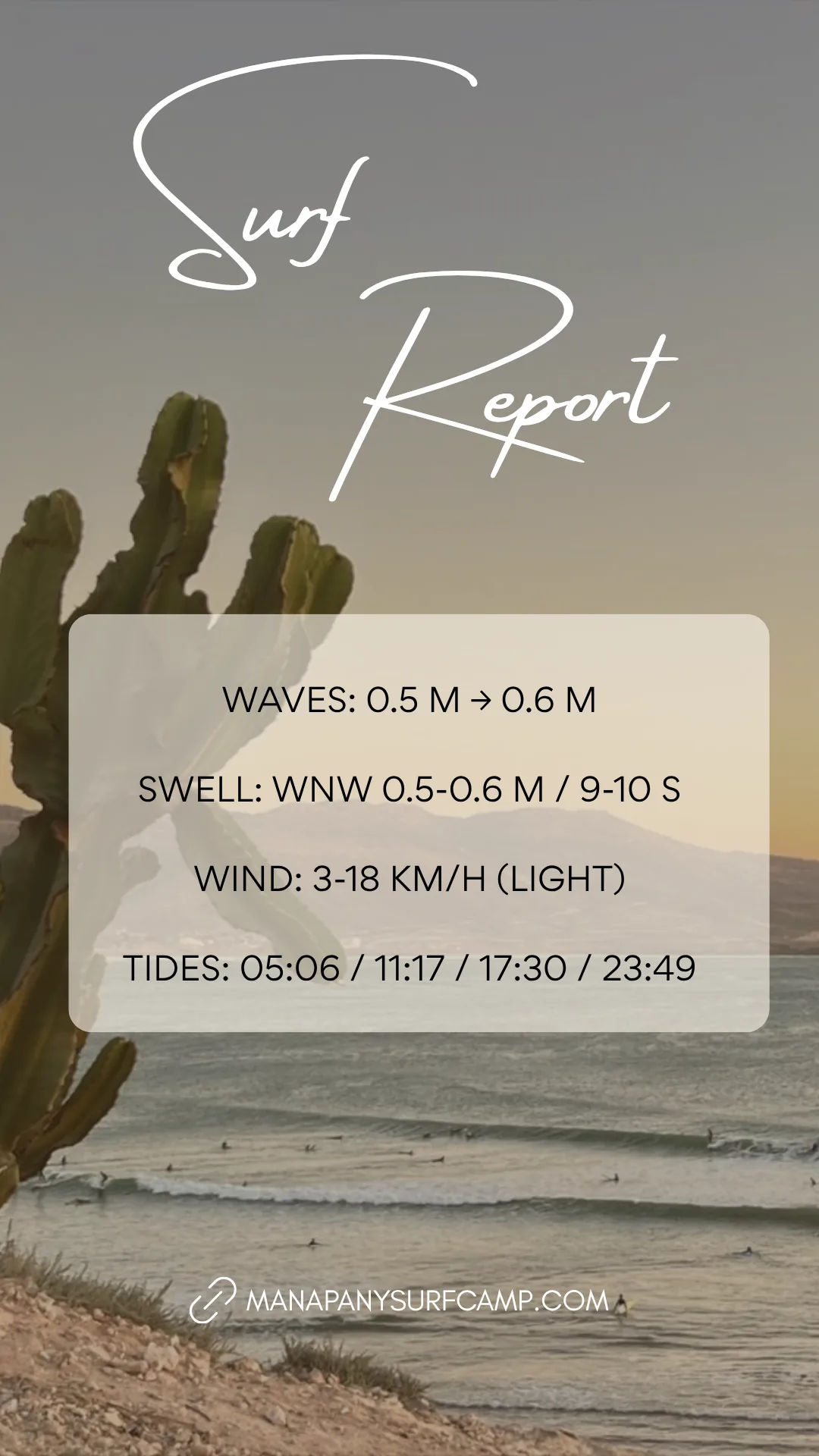 Story quotidienne de report de surf : houle, vent et marées du jour